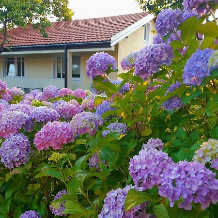 Cvjetni Apartmani Cetinje Dış mekan fotoğraf