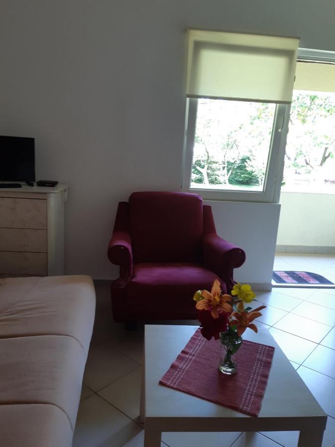 Cvjetni Apartmani Cetinje Dış mekan fotoğraf