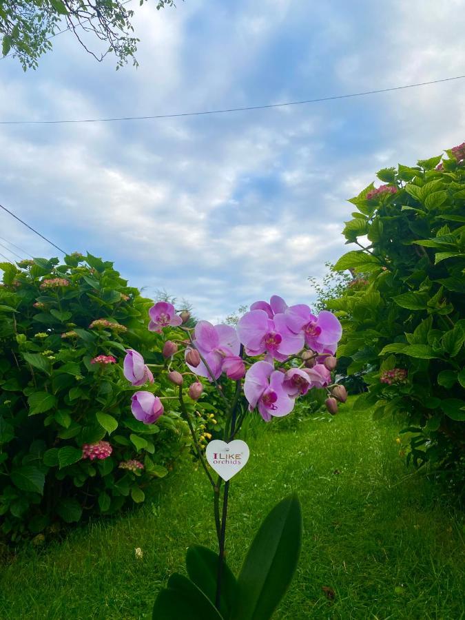 Cvjetni Apartmani Cetinje Dış mekan fotoğraf