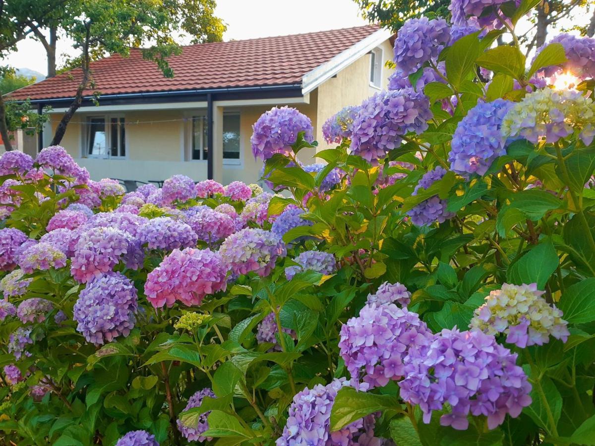 Cvjetni Apartmani Cetinje Dış mekan fotoğraf