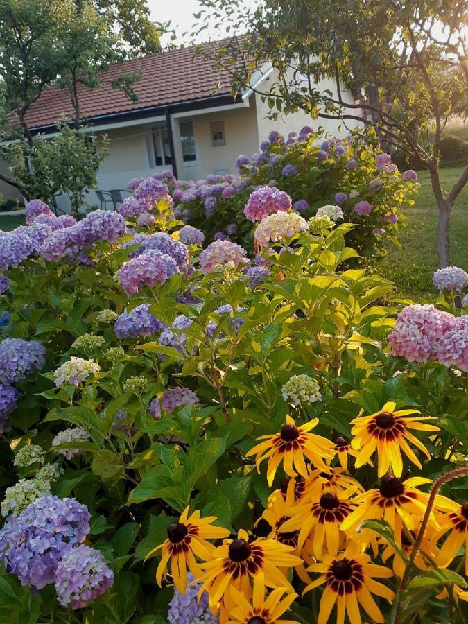 Cvjetni Apartmani Cetinje Dış mekan fotoğraf