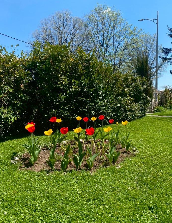 Cvjetni Apartmani Cetinje Dış mekan fotoğraf