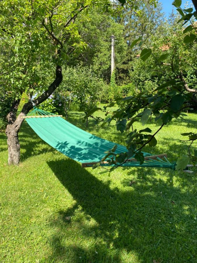 Cvjetni Apartmani Cetinje Dış mekan fotoğraf