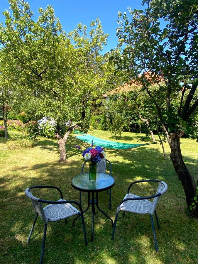 Cvjetni Apartmani Cetinje Dış mekan fotoğraf