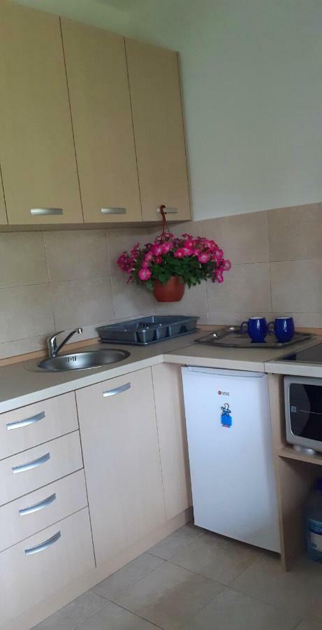 Cvjetni Apartmani Cetinje Dış mekan fotoğraf