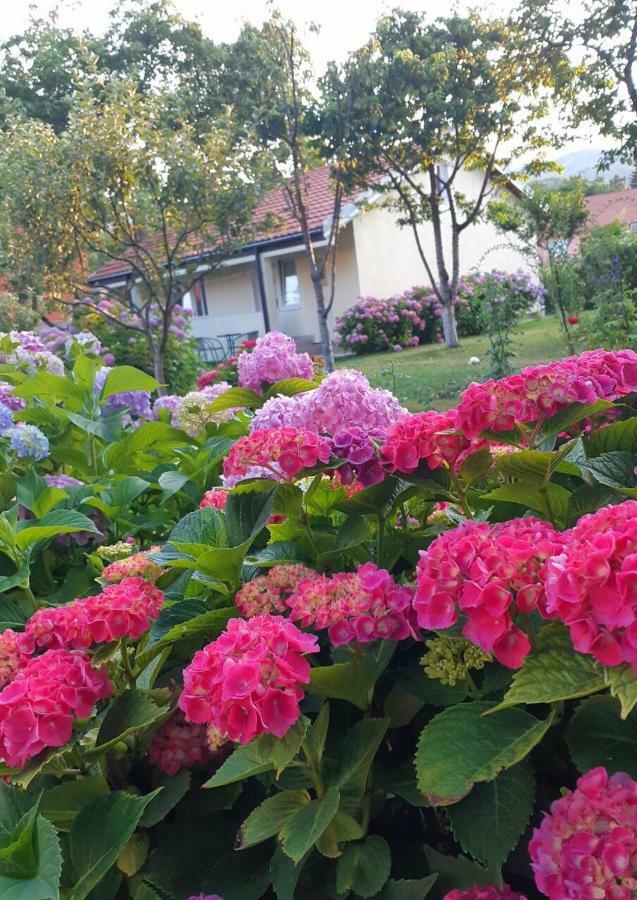 Cvjetni Apartmani Cetinje Dış mekan fotoğraf